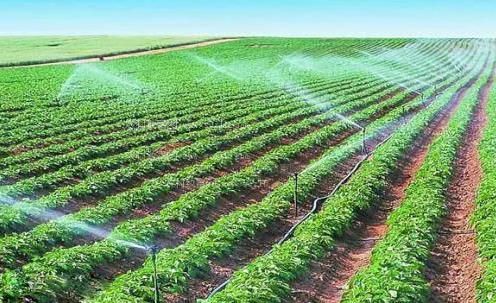 毛茸茸的嫩屄AV网农田高 效节水灌溉